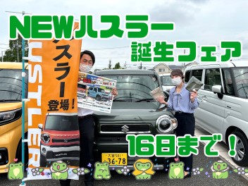 NEWハスラー誕生フェア！！